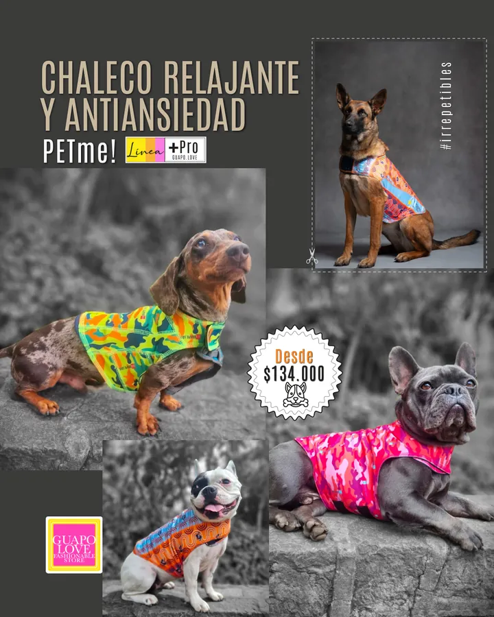 Catálogo general | Guapo Love, página 2 de 18