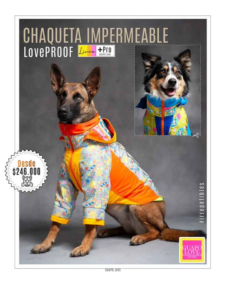 Catálogo general | Guapo Love, página 4 de 18