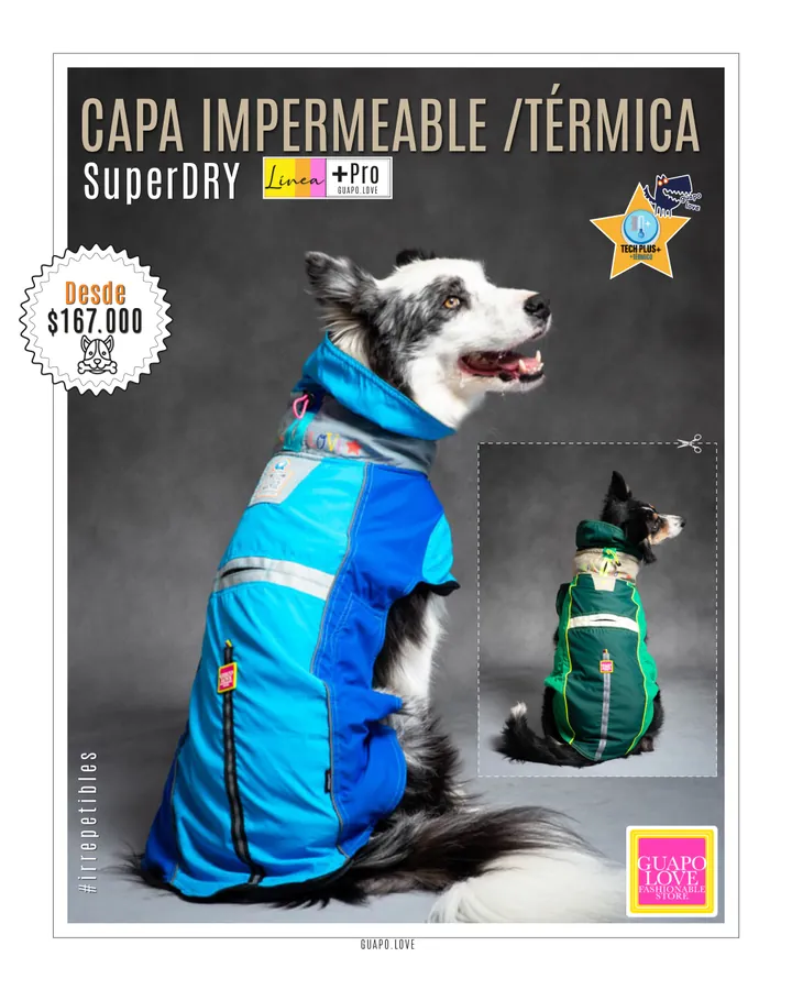 Catálogo general | Guapo Love, página 5 de 18