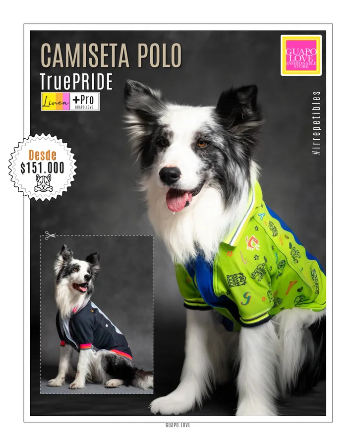 Catálogo general | Guapo Love, página 7 de 18