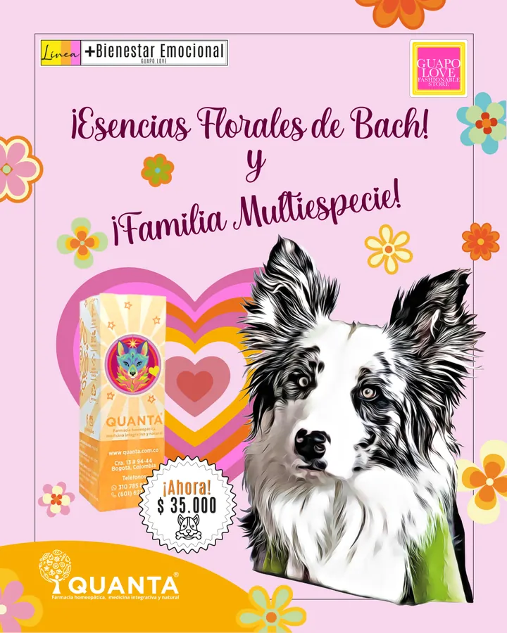 Catálogo general | Guapo Love, página 16 de 18
