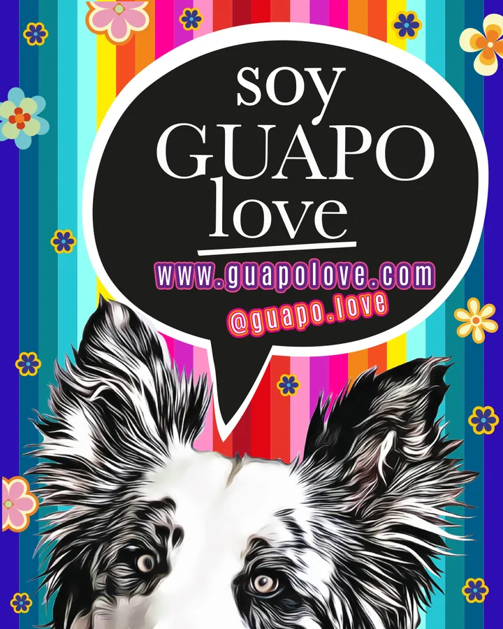 Catálogo general | Guapo Love, página 18 de 18