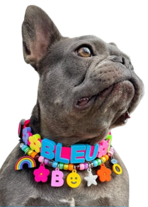 Collar para mascotas de charms