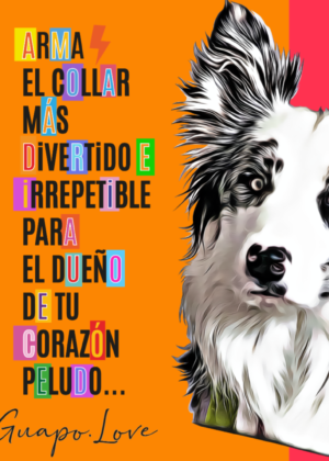 Collar para mascotas de charms