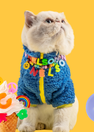 Collar para mascotas de charms